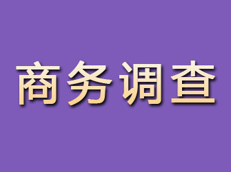 沧县商务调查